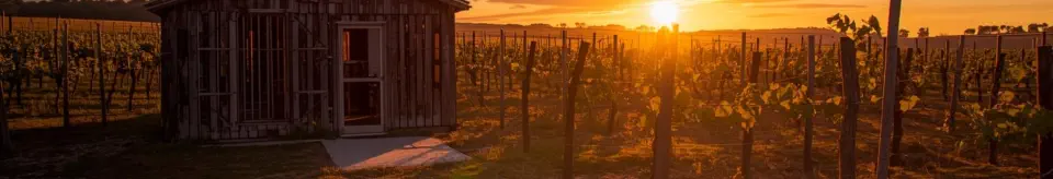 SLider_Idylle_im Schubbe