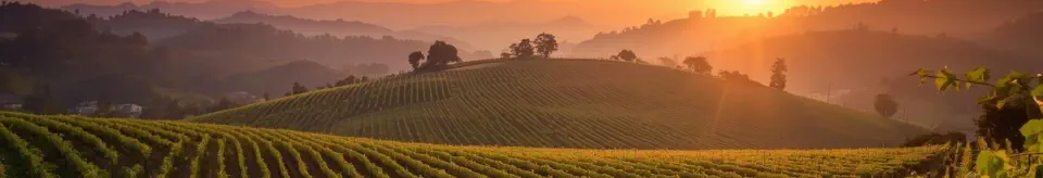 SLider_Idylle_im Schubbe